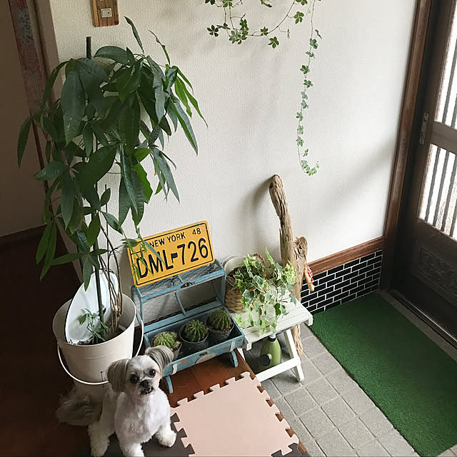 実例写真