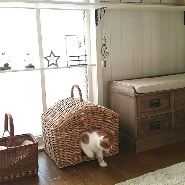 mikiさんの実例写真