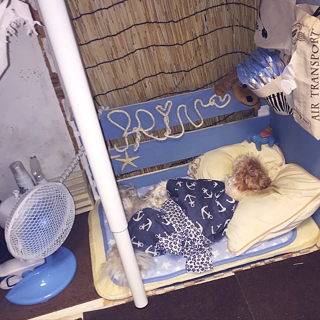 oniyomeさんの実例写真