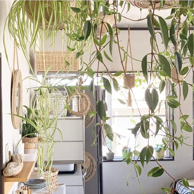 hira_muji_mihiさんの部屋