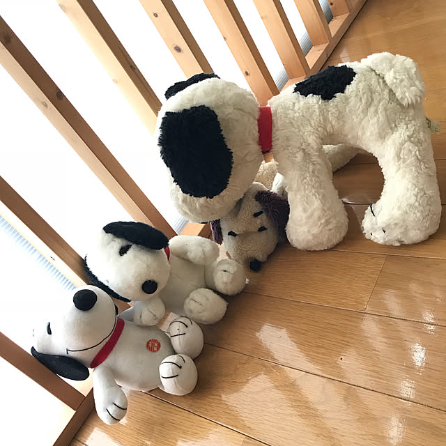 collonさんの実例写真