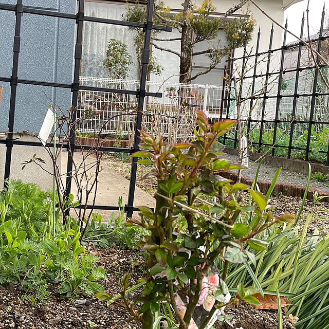 natsumiさんの実例写真