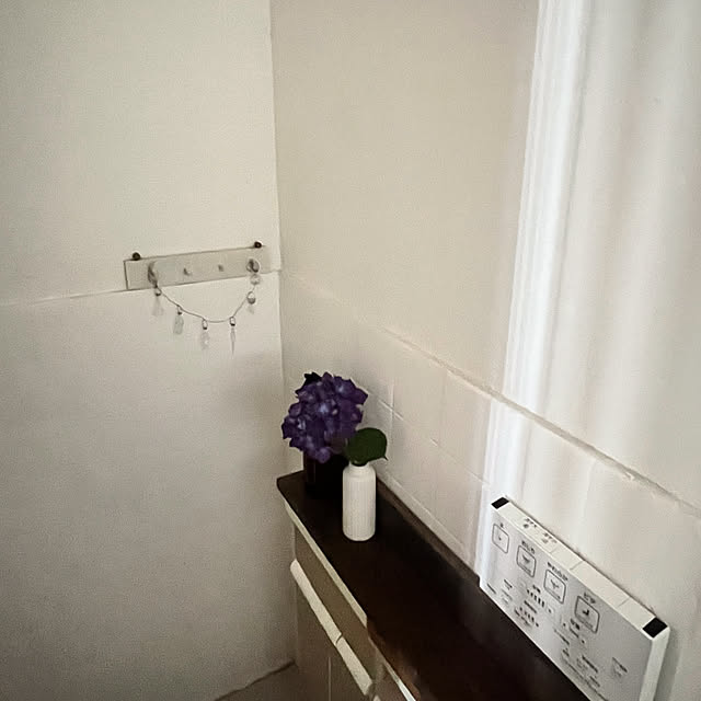 rookuさんの部屋