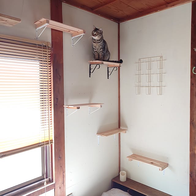 ...niko...さんの実例写真