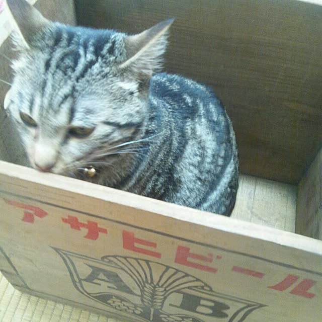 RIN5さんの実例写真