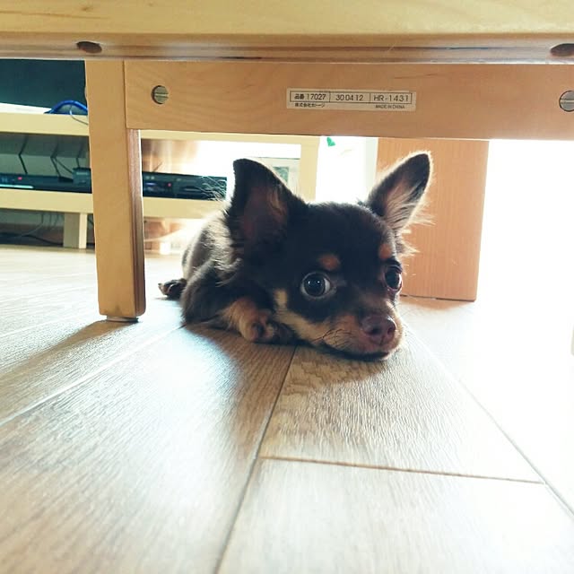 miyuさんの実例写真