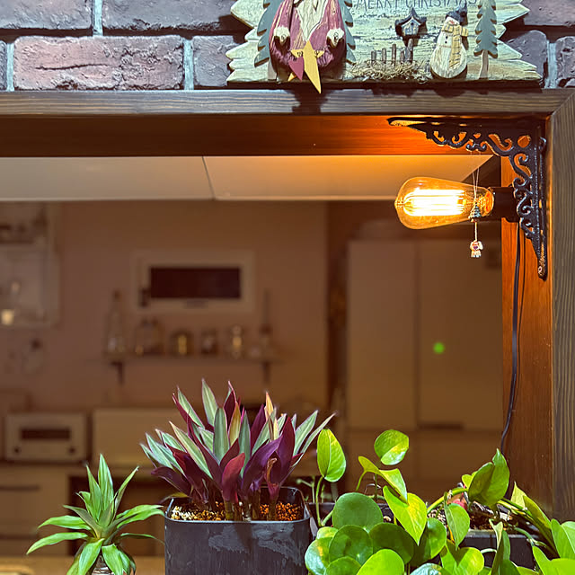 usagiさんの部屋