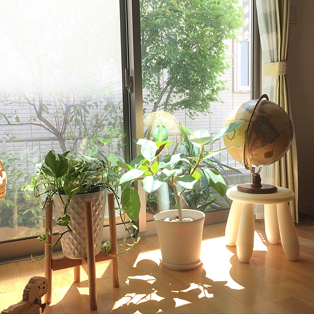 Mさんの実例写真