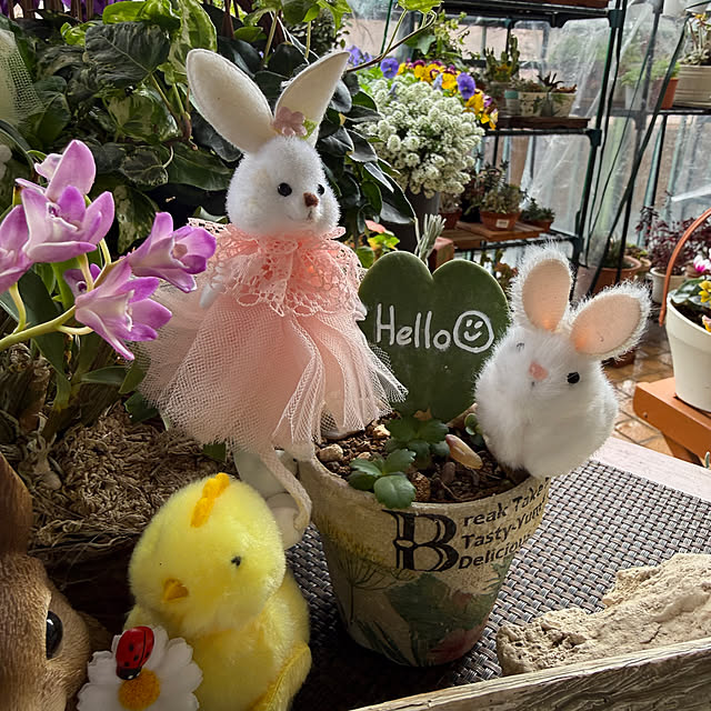 Aqettyさんの部屋