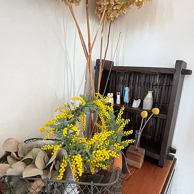 fujitamaさんの部屋