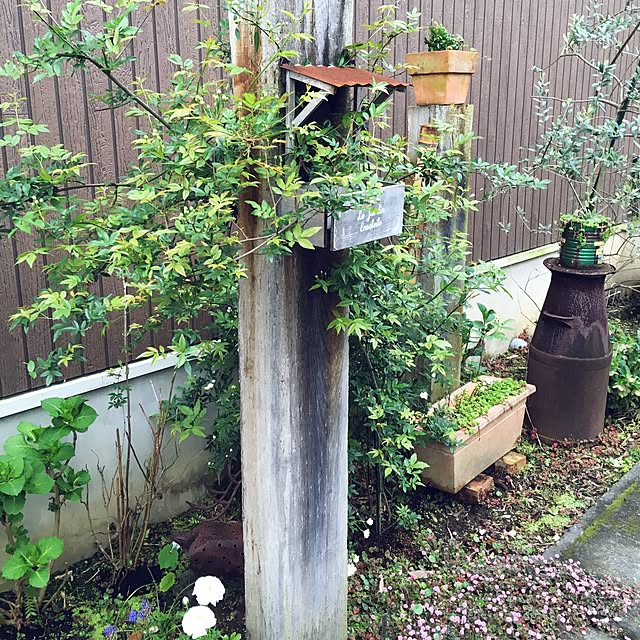 Maikoさんの実例写真