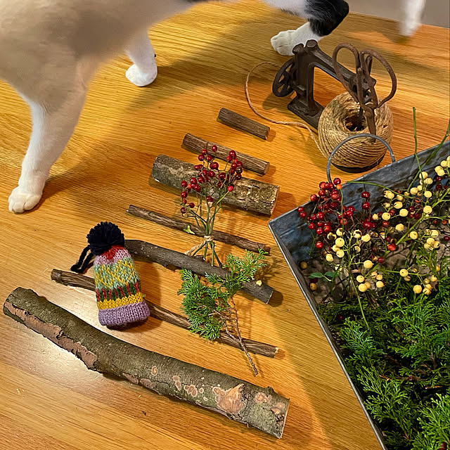 nobikoさんの実例写真