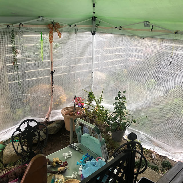 Hisaさんの実例写真