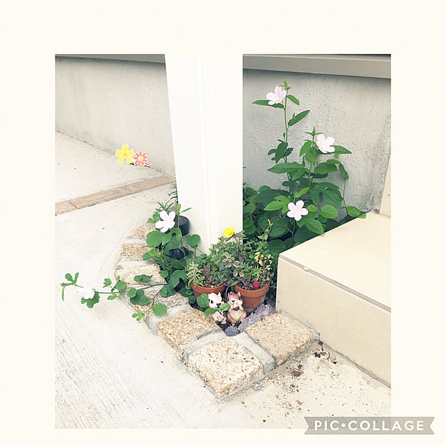 yuyuさんの実例写真