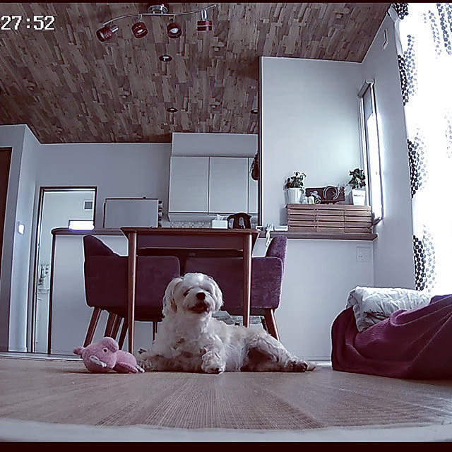 seiさんの部屋