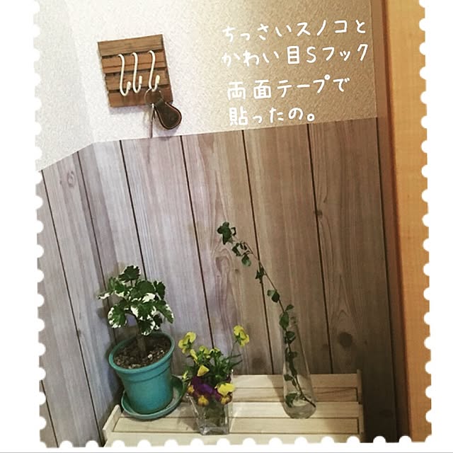 sapi56brrさんの実例写真