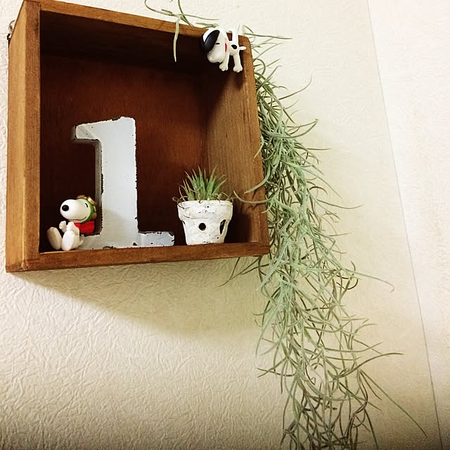 Kaoriさんの実例写真