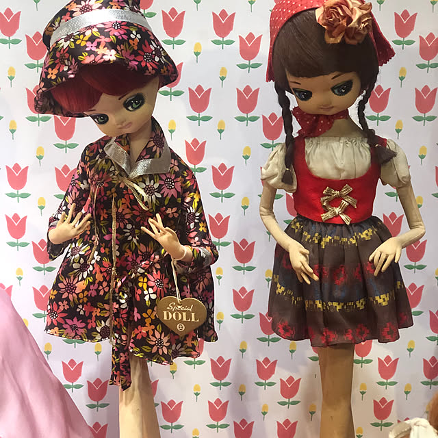 Toruさんの部屋