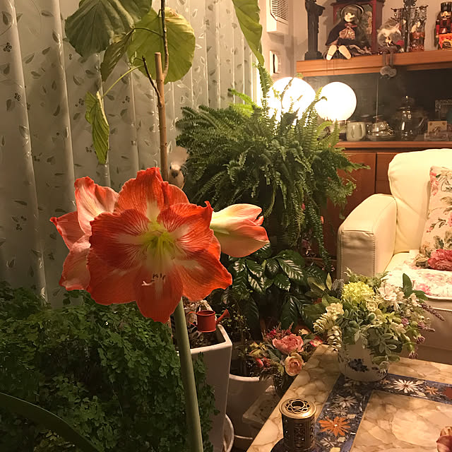 saraminさんの実例写真