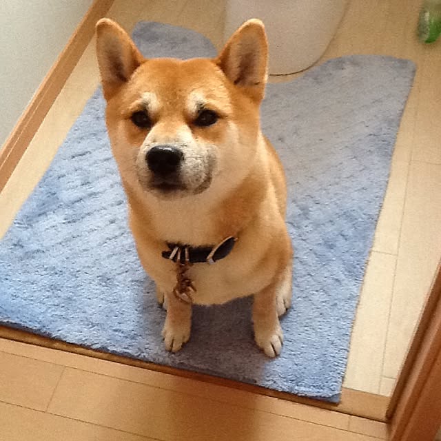 kotaさんの実例写真