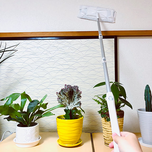hanachanさんの部屋