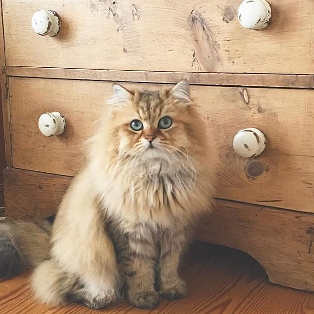 teddyさんの実例写真