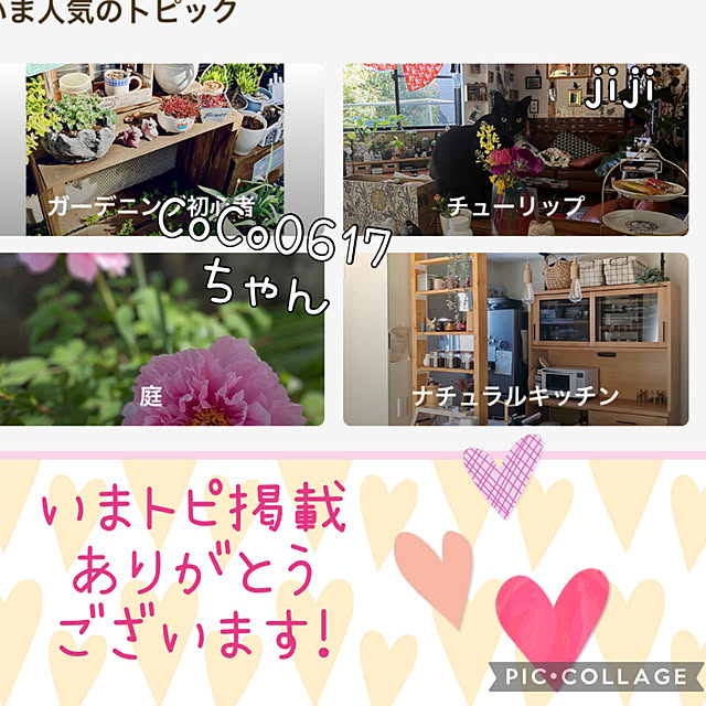 jijiさんの実例写真