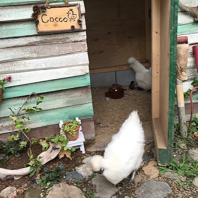 pepeさんの実例写真