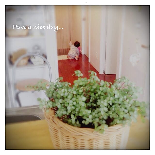 yuuka.さんの実例写真