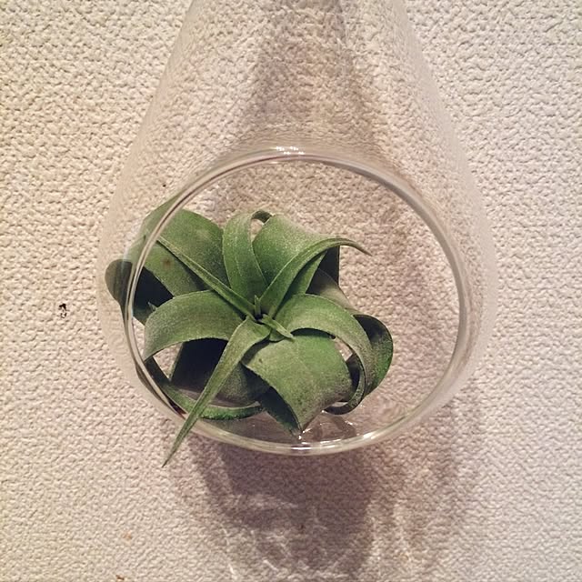 Kさんの実例写真