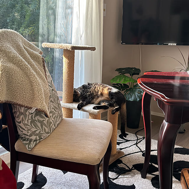 momocchiさんの部屋