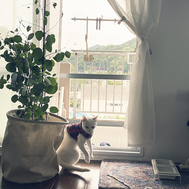 hanaさんの実例写真