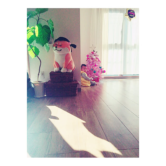 実例写真