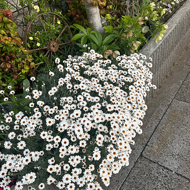 miukiさんの部屋