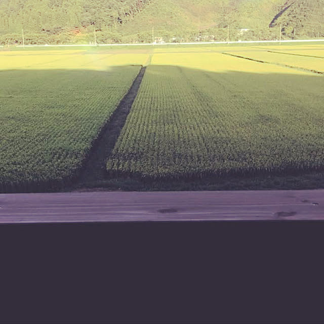MASUMIさんの実例写真
