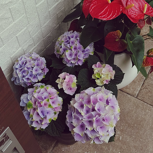 boutique.masayoさんの実例写真