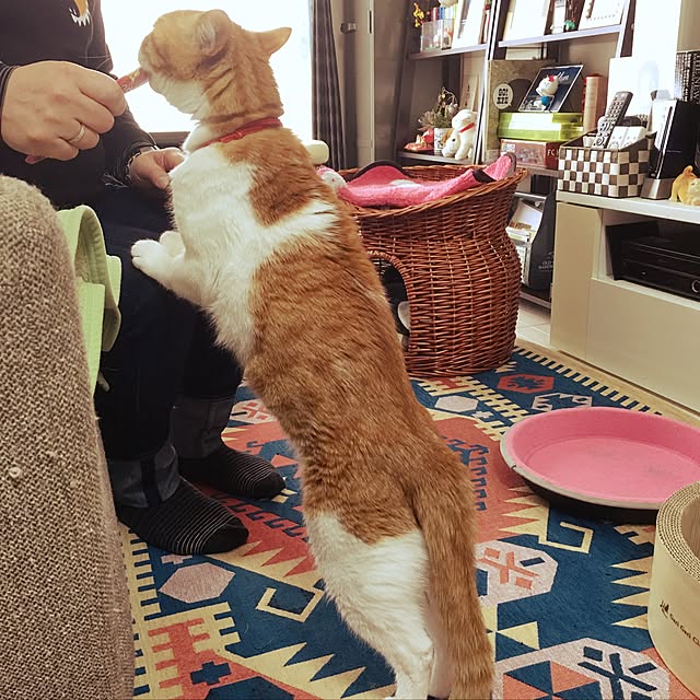 nyanyakoさんの実例写真