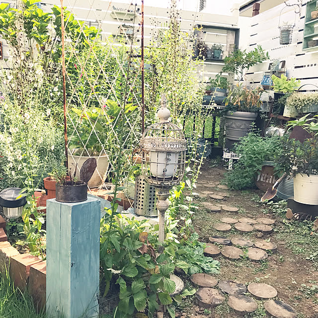 kokko3さんの実例写真