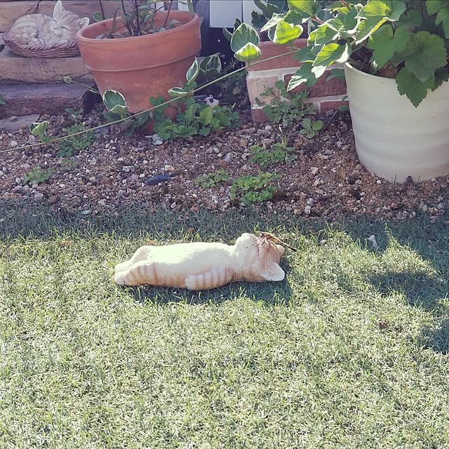 nukkoさんの実例写真