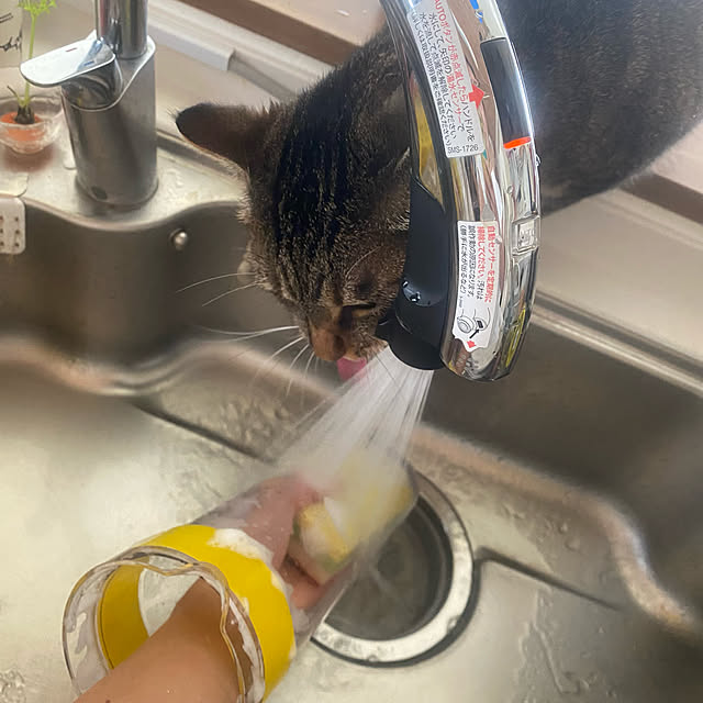 mikomaruさんの実例写真
