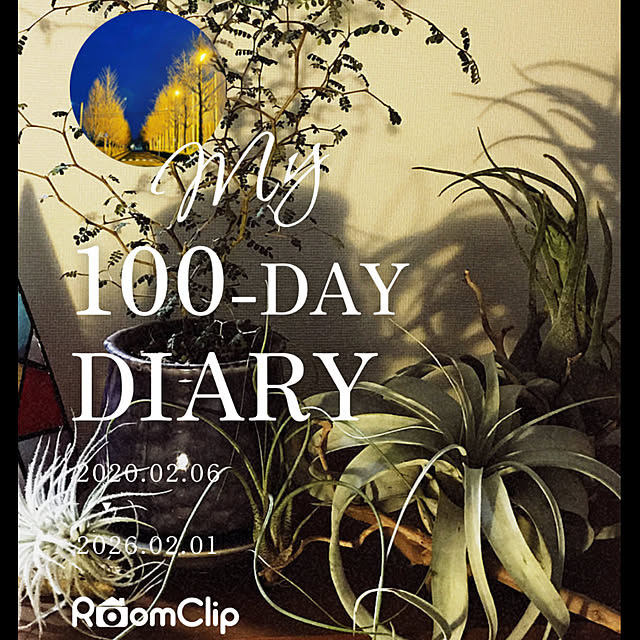 miyamiyaさんの実例写真