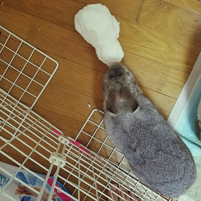 kuri34さんの実例写真