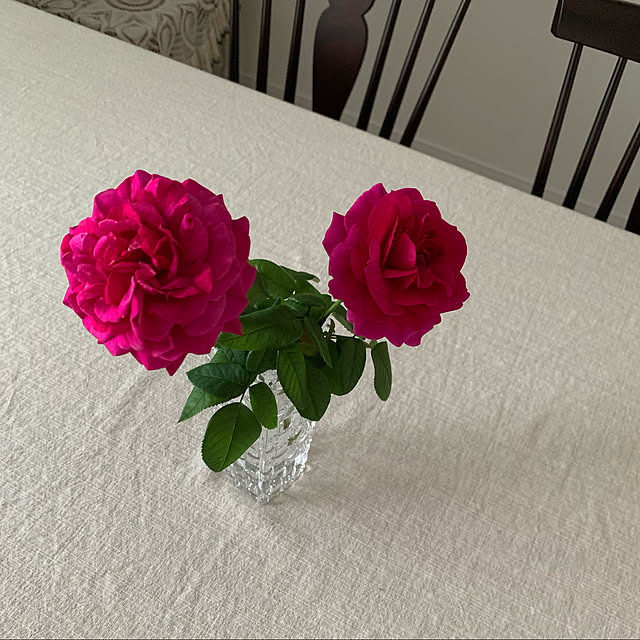 pomekoさんの実例写真