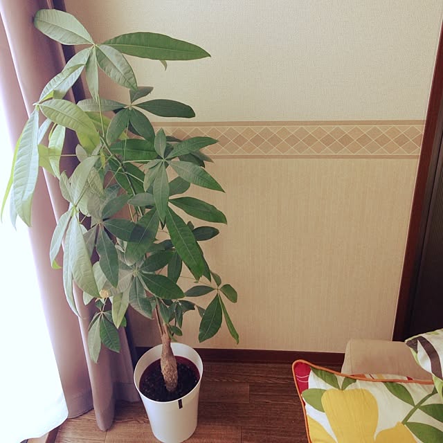 naoさんの実例写真