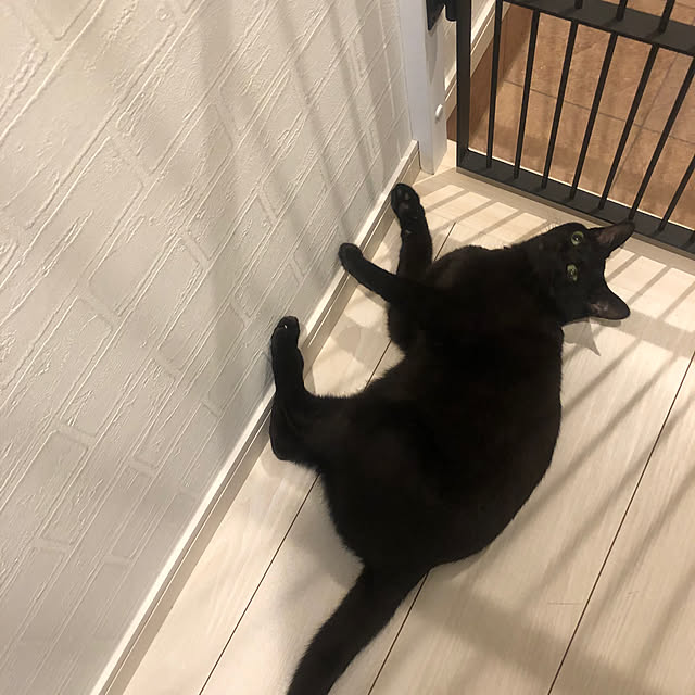 rairaさんの部屋
