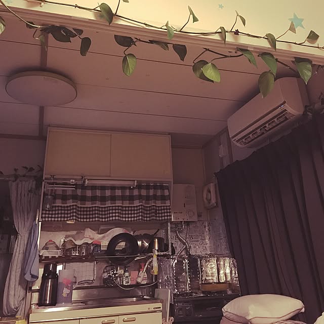 キッチン/観葉植物のインテリア実例 - 2017-07-07 22:57:14