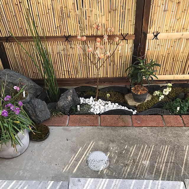 実例写真