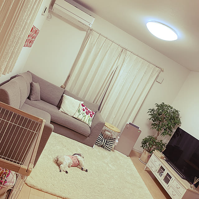 meme________chanさんの実例写真
