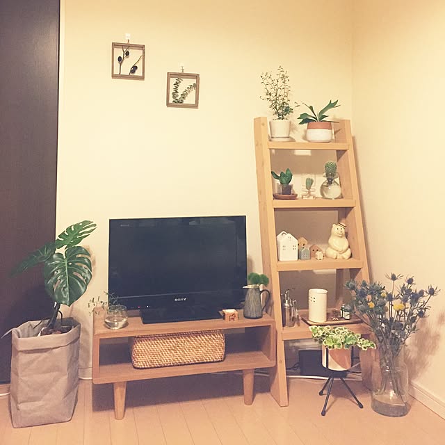 hiyokoさんの実例写真