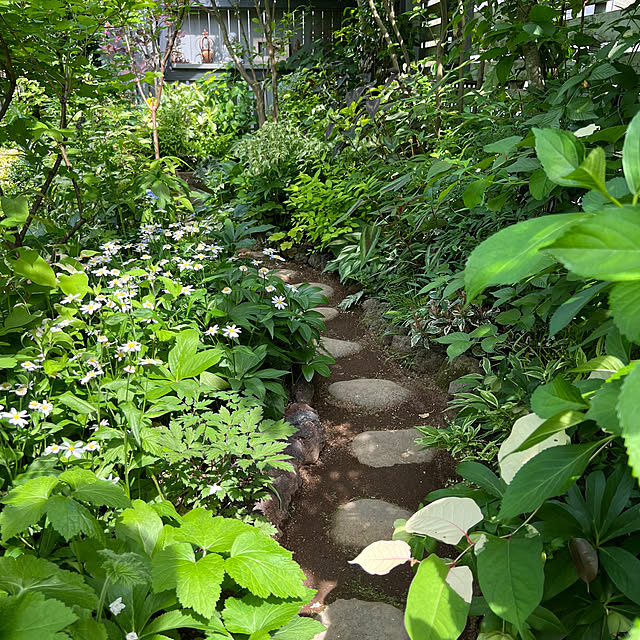 Royal_Gardeners_Clubさんの部屋